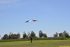 Venice kite festival_0112